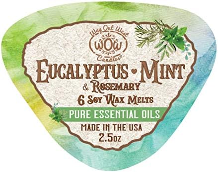 Way Out West Candles Eucalyptus Mint Wax Melts 4 Pack