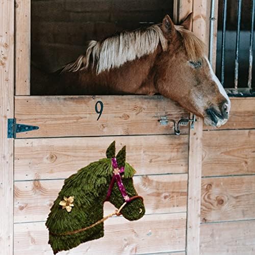 SOHAIL Horse Head Wire Wreath Frame 2PCS 16in Double Ears