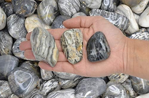Fantasia Black Cream Chert Stones 3 Lbs Tumbled Size 9