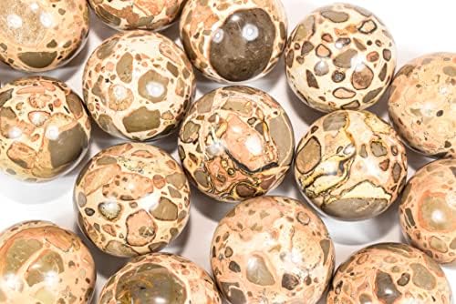 HQRP 47mm Leopardite Jasper Sphere Natural Crystal Mineral Ball with Stand
