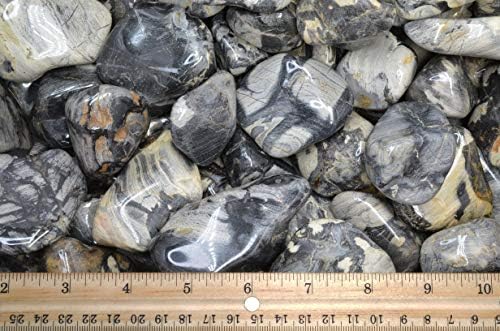 Fantasia Silver Leaf Jasper Stones - 5 lbs Tumbled African Rocks