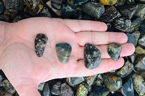 Fantasia 5 Lbs Tumbled Sea Jasper Stones from Madagascar