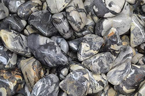 Fantasia Silver Leaf Jasper Stones - 5 lbs Tumbled African Rocks