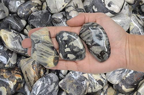 Fantasia Silver Leaf Jasper Stones - 5 lbs Tumbled African Rocks
