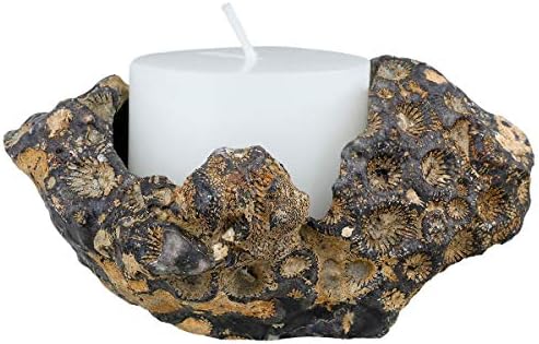 Sharvgun Door Candles Air Plant Holder Coral Fossil Natural Raw Stone Crystal Healing Table Wedding Decoration