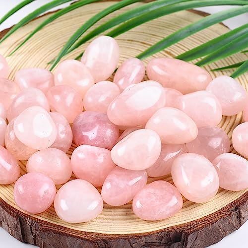 FORBY 3lb Natural Rose Quartz Tumbled Stones Crystal Set