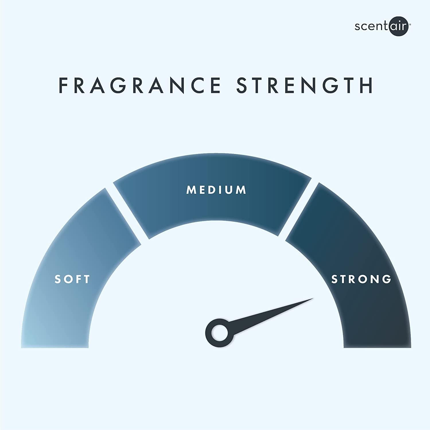Monthly Fragrance Cartridge - Golden Bamboo