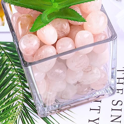 FORBY 3lb Natural Rose Quartz Tumbled Stones Crystal Set