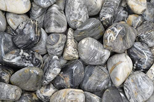 Fantasia Black Cream Chert Stones 3 Lbs Tumbled Size 9
