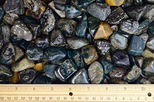 Fantasia 5 Lbs Tumbled Sea Jasper Stones from Madagascar