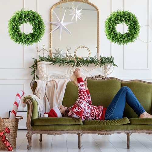 20 Inch Preserved Boxwood Wreath for Front Door