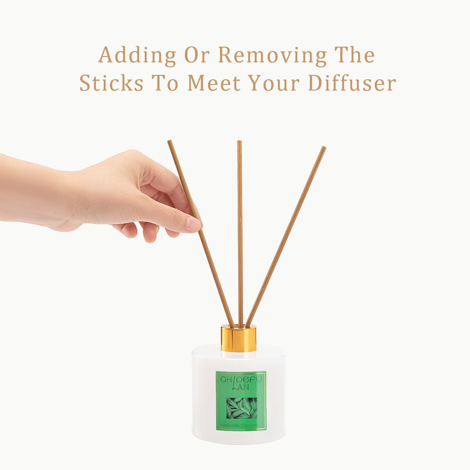 Chloefu LAN Eucalyptus Reed Diffuser Gift Set