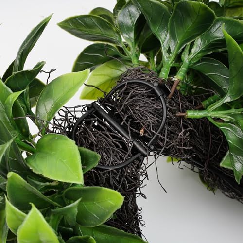 20 Inch Boxwood Wreath with Hello Sign for Front Door