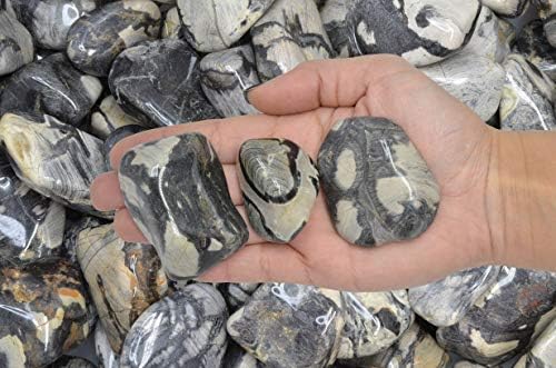 Fantasia Silver Leaf Jasper Stones - 5 lbs Tumbled African Rocks