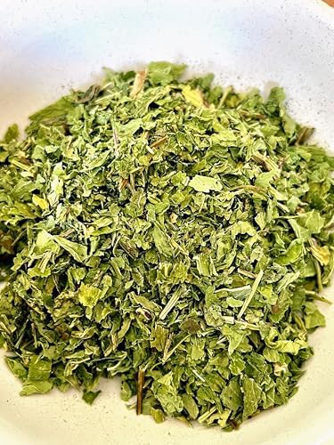 12 Spearmint Sachets Fresh Air Deodorizer for Home Car