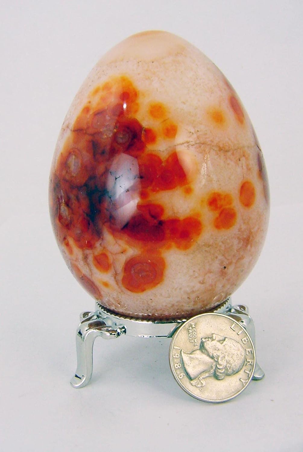 Carnelian Agate Egg for Lapidary Healing with Stand