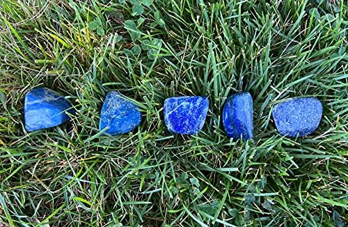 Zentron Crystal Tumbled Lapis 1 Pound Set