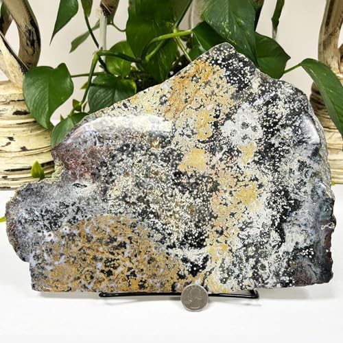 Natural Sea Jasper Crystal Gemstone Slab - RSL055 1