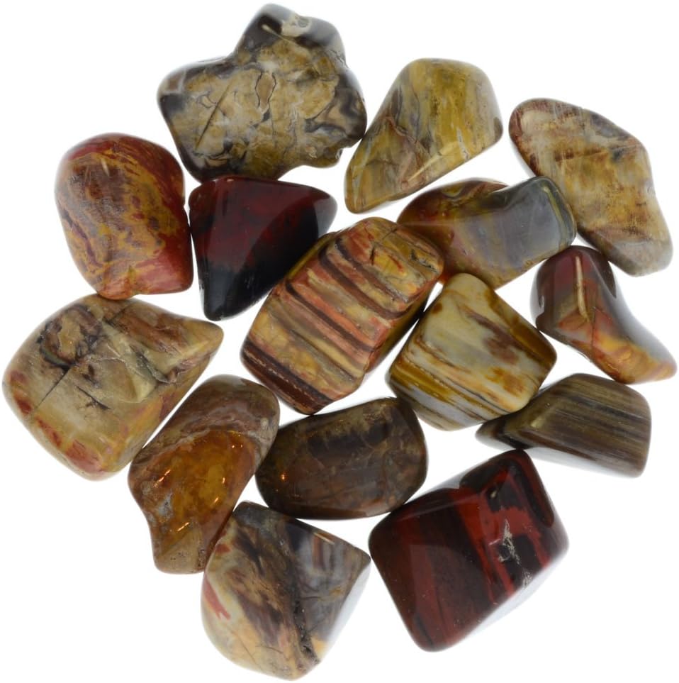 10 Pcs Tumbled Petrified Wood Stones from Madagascar