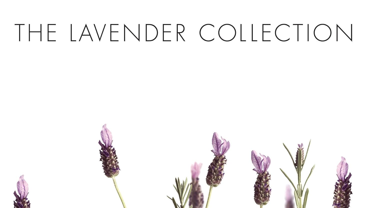 Pre de Provence Lavender Sachet Collection 150 Grams