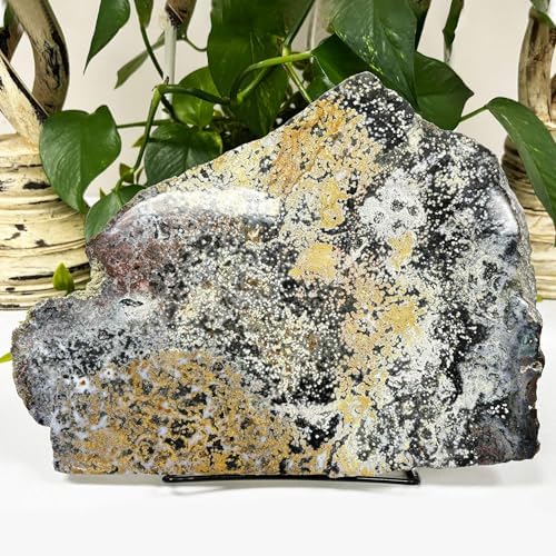 Natural Sea Jasper Crystal Gemstone Slab - RSL055 1