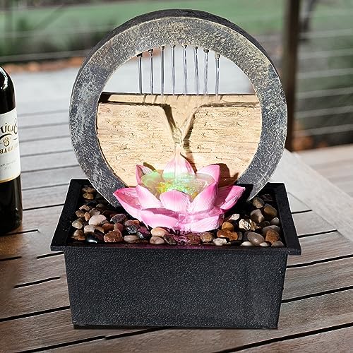 Vipush Tabletop Water Fountain with LED Light
