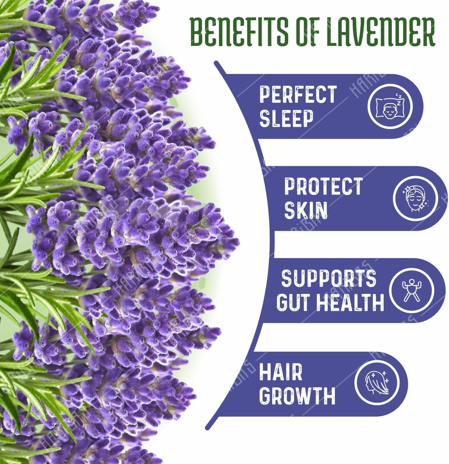 Organic Dried Lavender Flowers 20gm for Tea and Bath