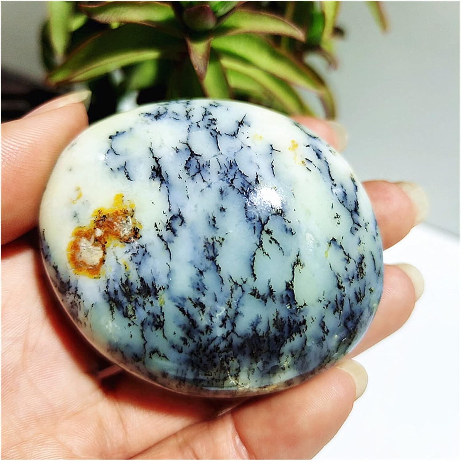 FIDEMM Natural Crystal Dendritic Opal Stones for Feng Shui