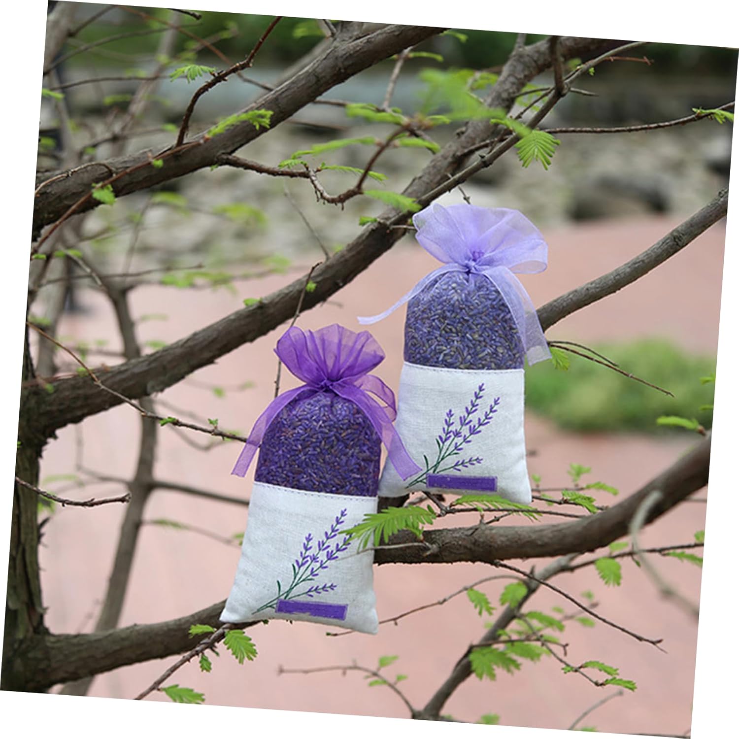 25 Pack Lavender Sachet Bags with Ribbons