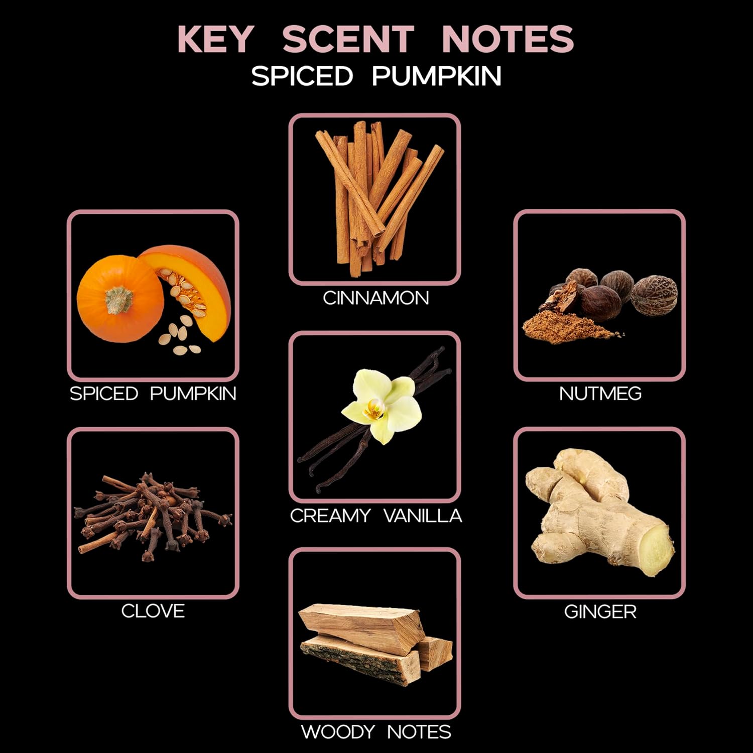 LOVSPA Spiced Pumpkin Reed Diffuser Oil Refill