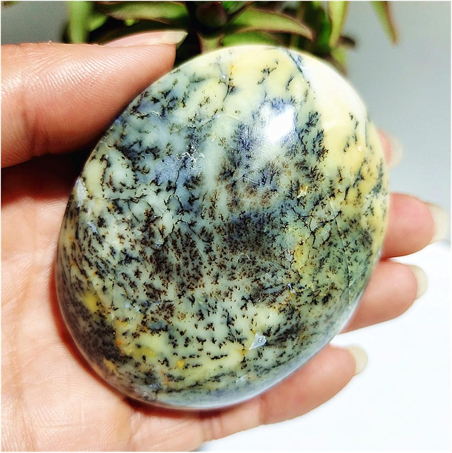FIDEMM Natural Crystal Dendritic Opal Stones for Feng Shui