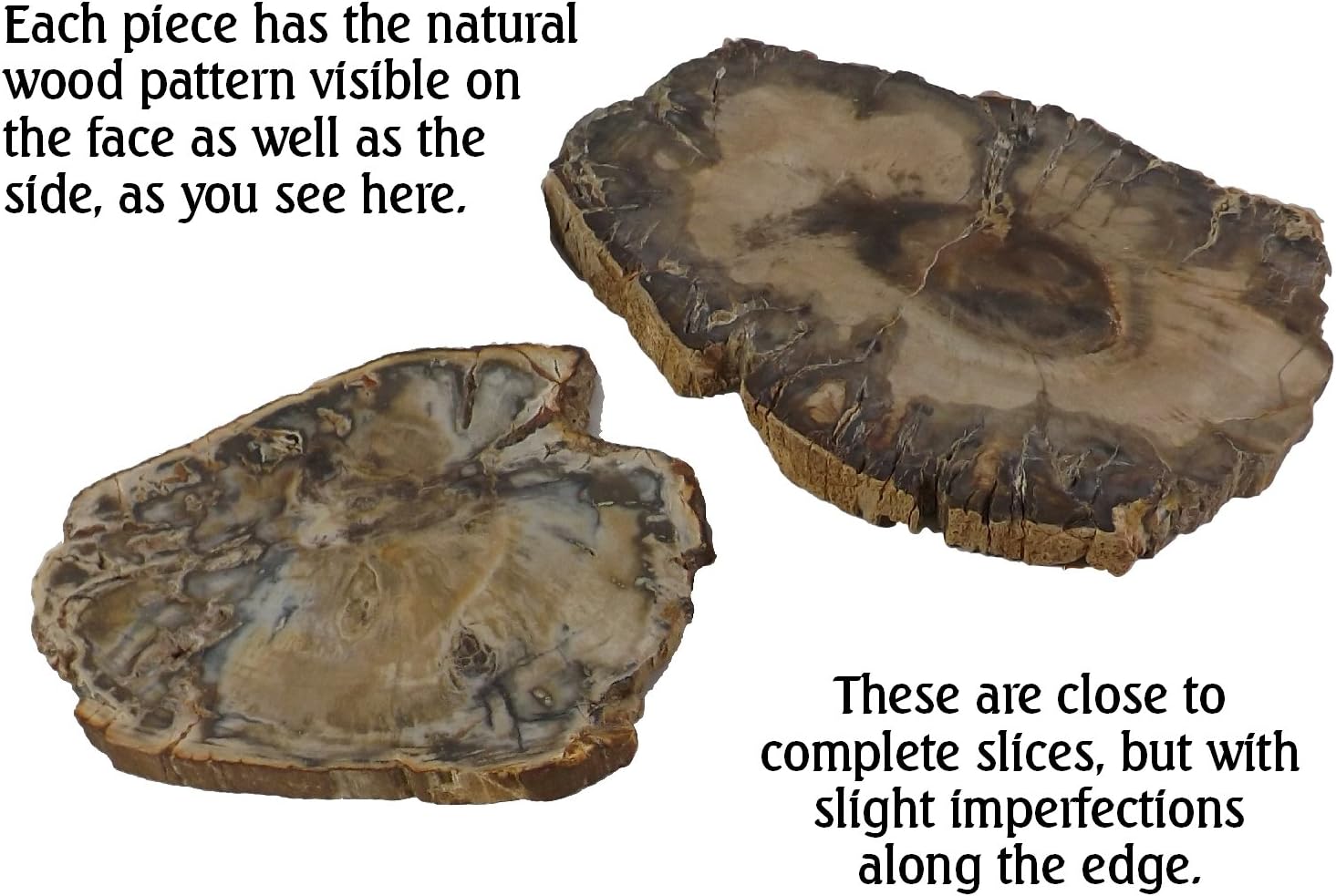 Petrified Wood Slab from Madagascar Unique Stone Slice 4-5 Inches Size