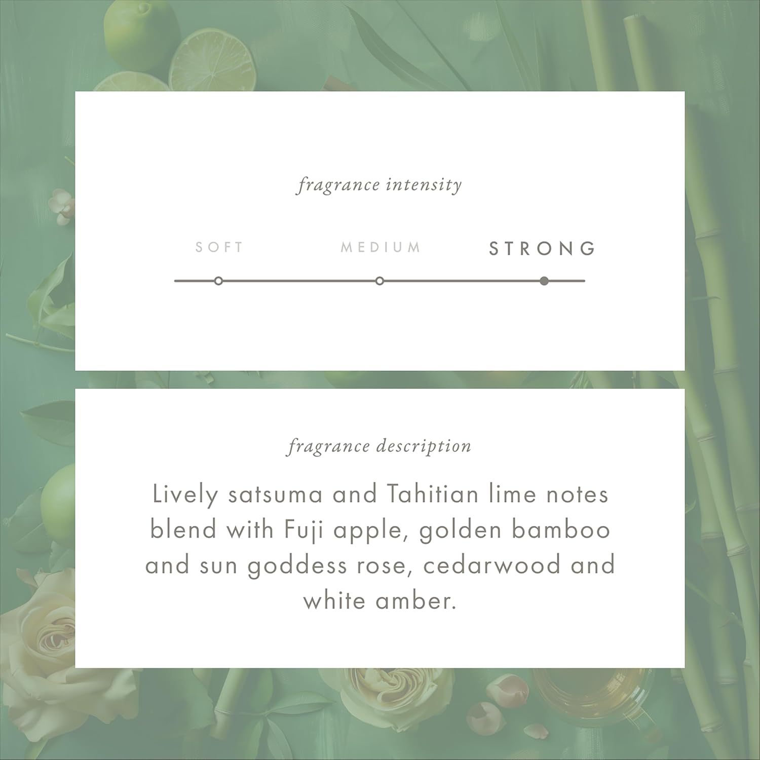 Monthly Fragrance Cartridge - Golden Bamboo