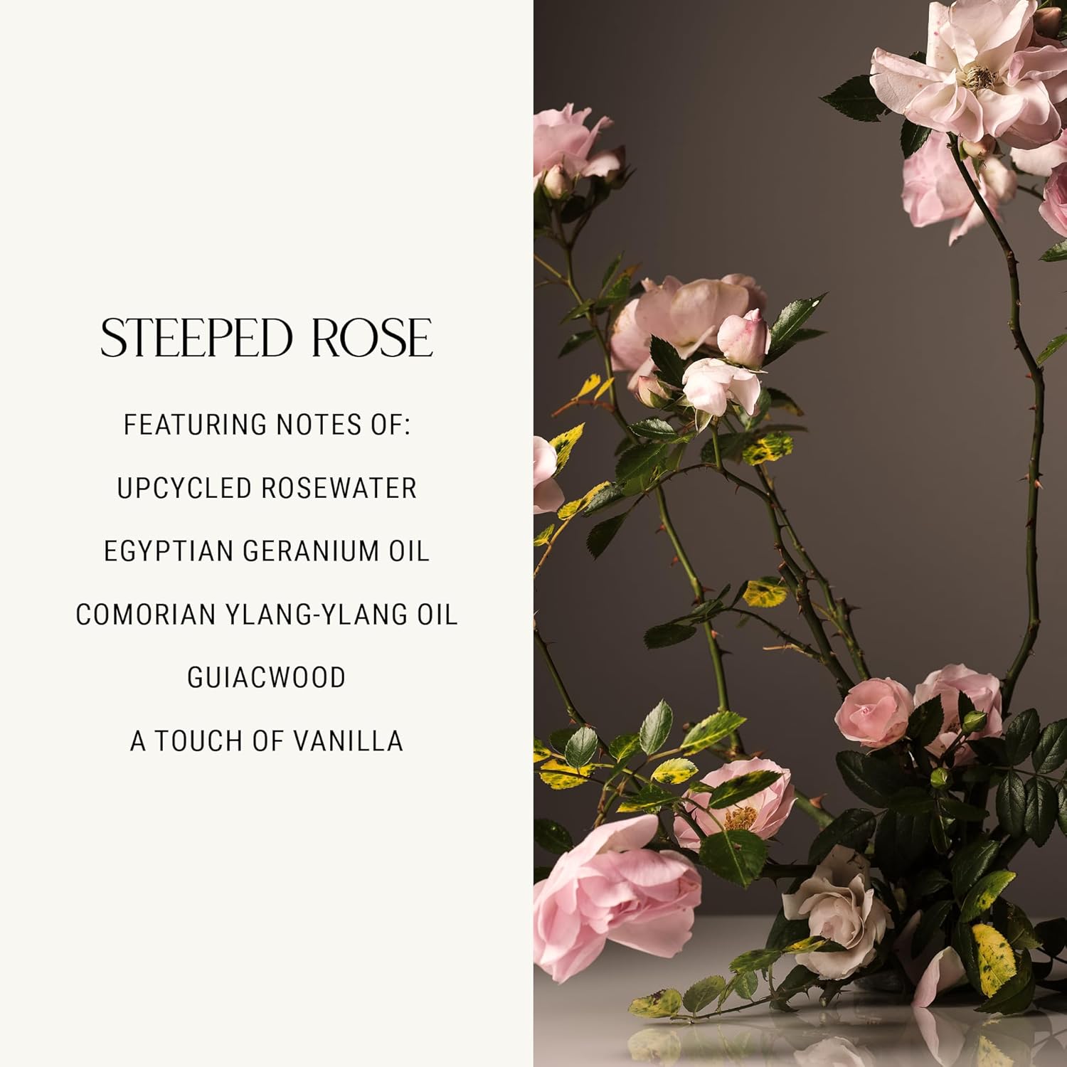 Homecourt Room Deodorant 34 Oz Steeped Rose