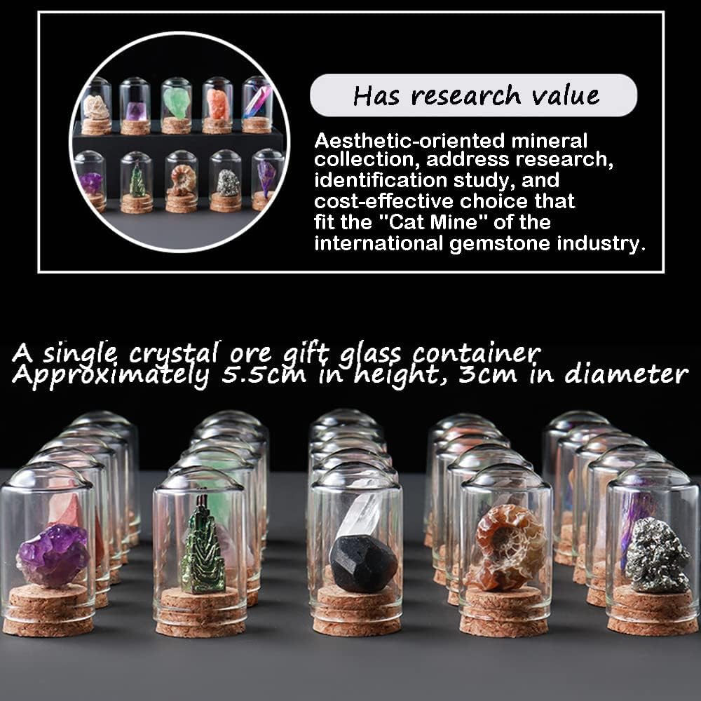 Crystal Mineral Specimen Set 25 Pack Natural Stones for Home Decoration and Healing