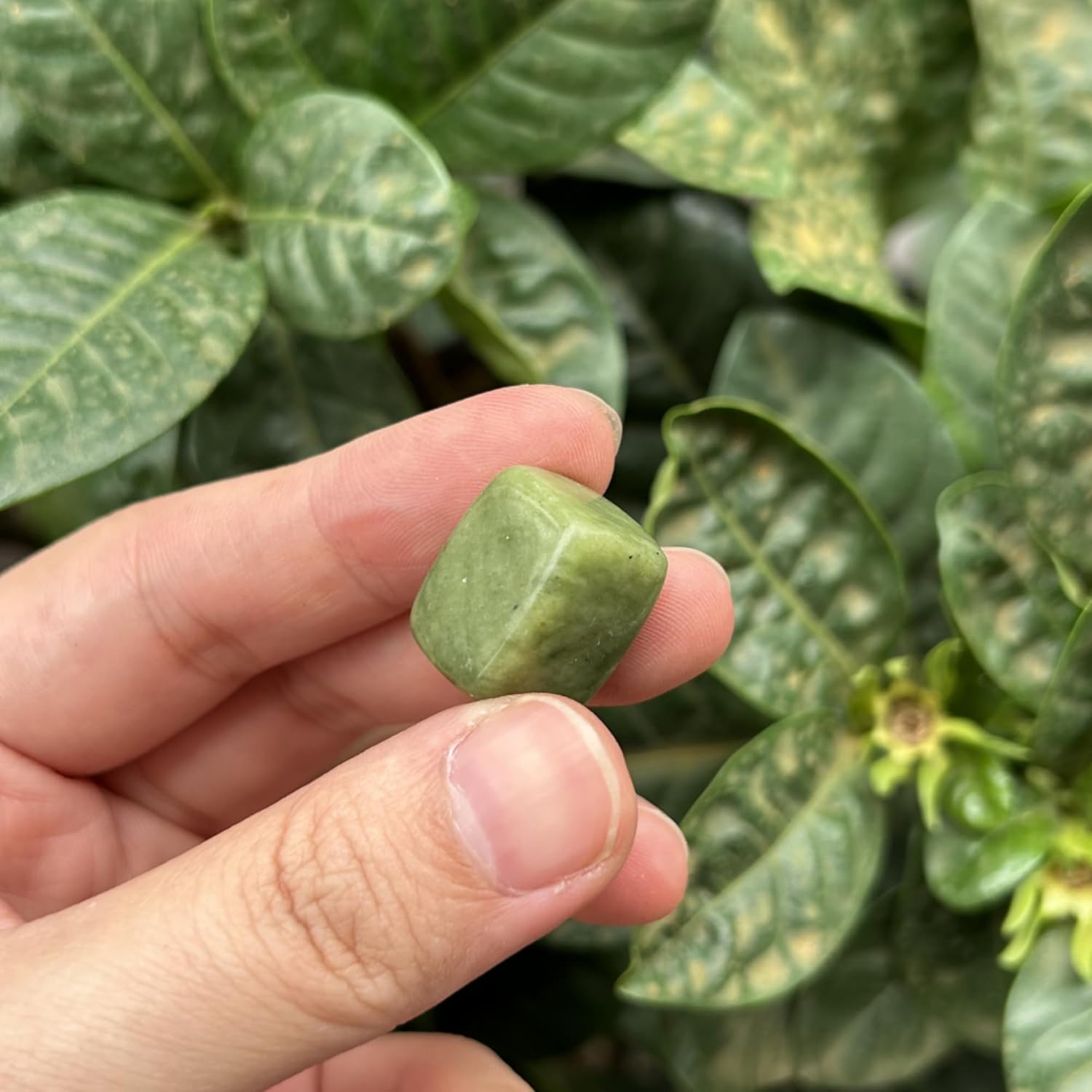 15Pcs Green Jade Tumbled Rule Block Healing Stones for Reiki Vase Filler and Chakra Balancing