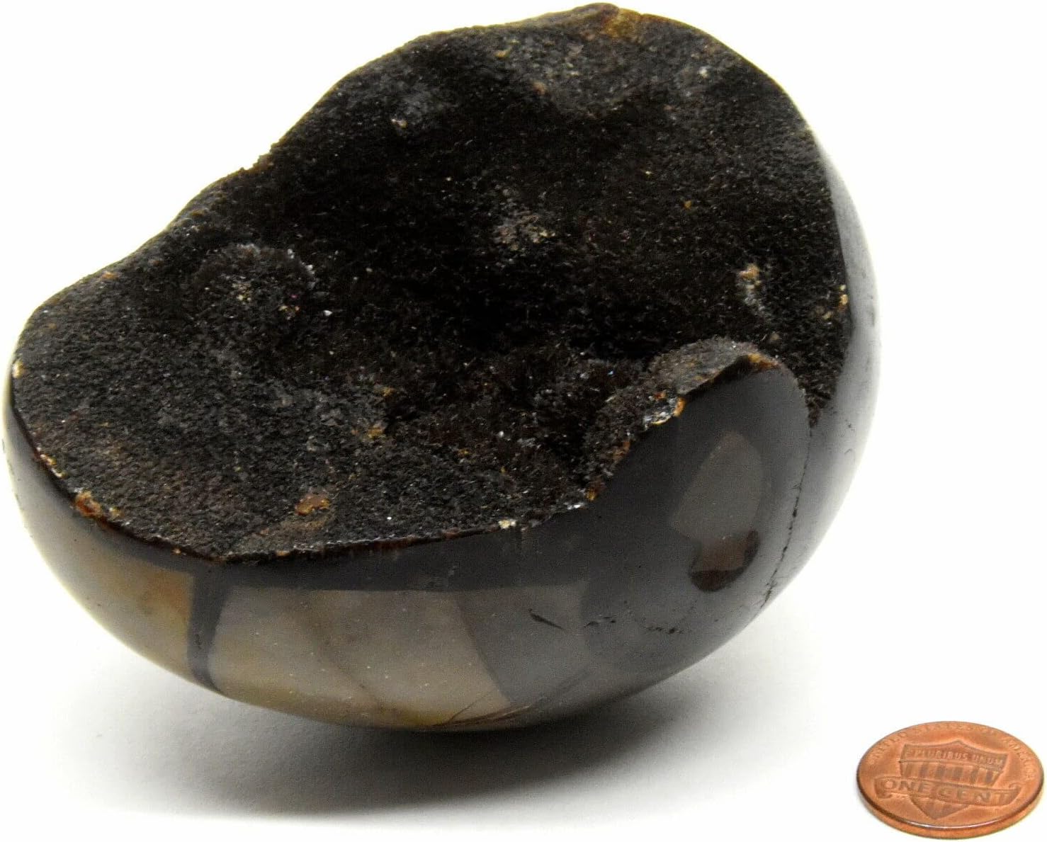 96mm Septarian Dragon Stone Egg with Stand