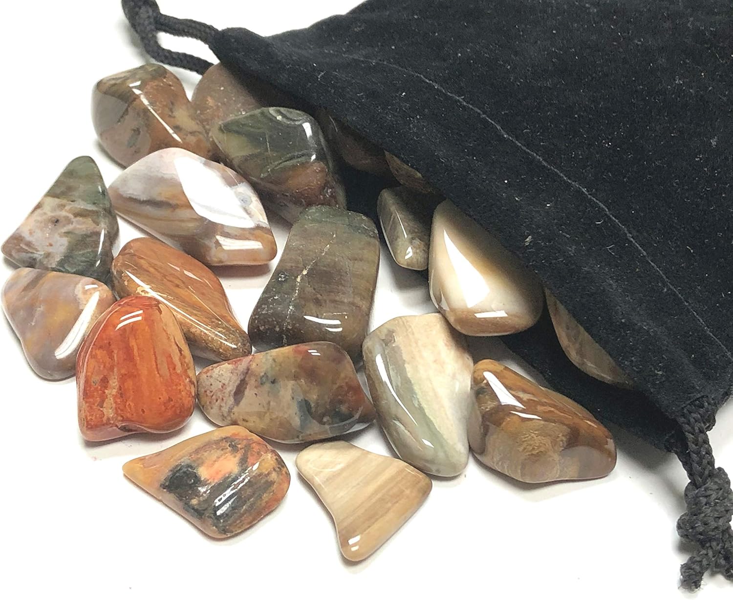 Tumbled Petrified Wood - 1 Inch Stones in Velvet Bag 1 Pound
