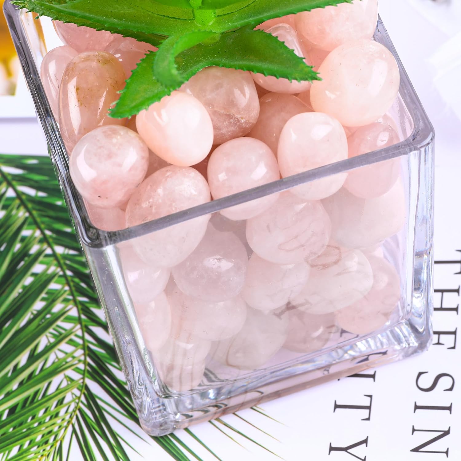 FORBY 3lb Natural Rose Quartz Tumbled Stones Crystal Set
