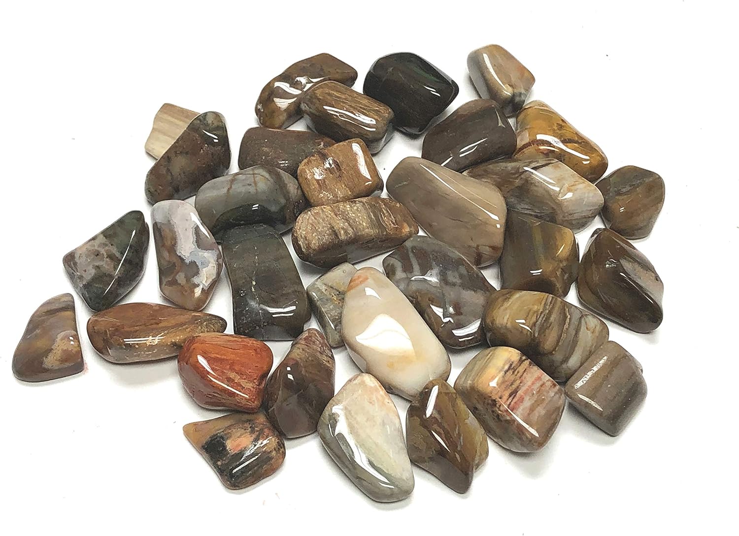 Tumbled Petrified Wood - 1 Inch Stones in Velvet Bag 1 Pound