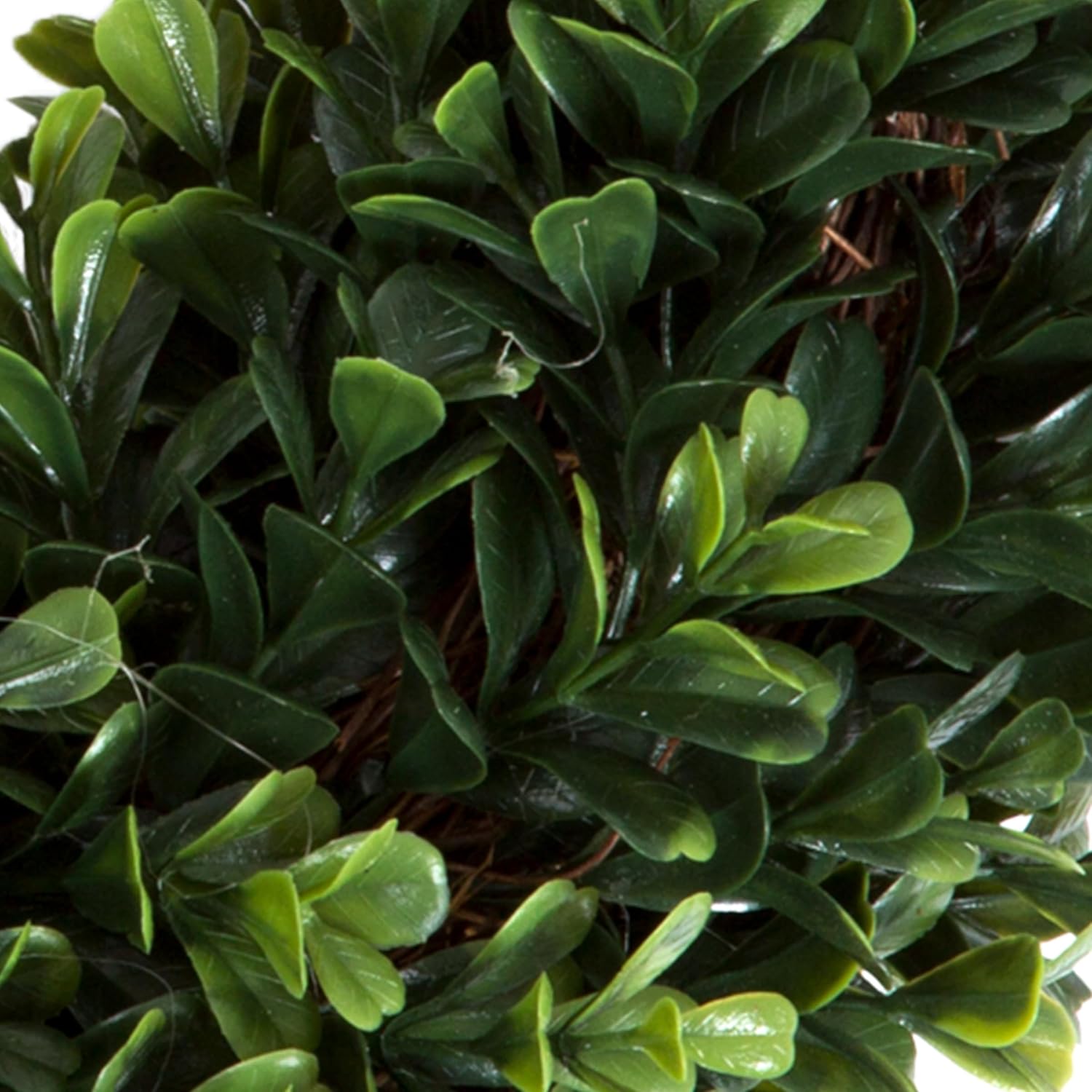 Pure Garden 12-Inch UV Resistant Boxwood Wreath