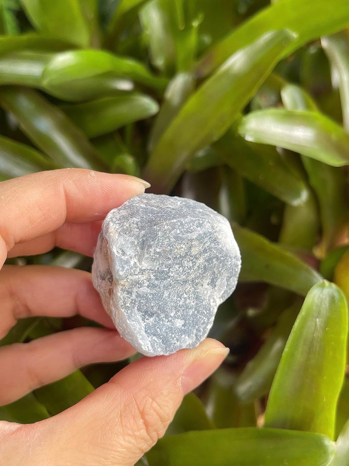 1 Pound Raw Angelite Stones - Natural Rough Angelite for Decor and Energy Work