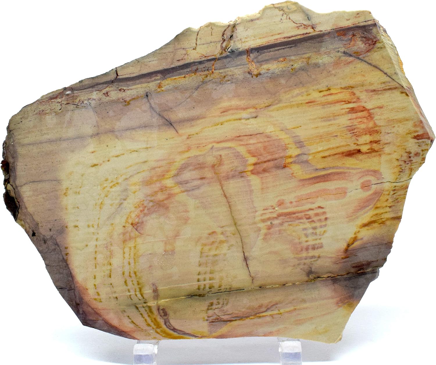 61 Inch Polychrome Royal Jasper Slab Decor Stone