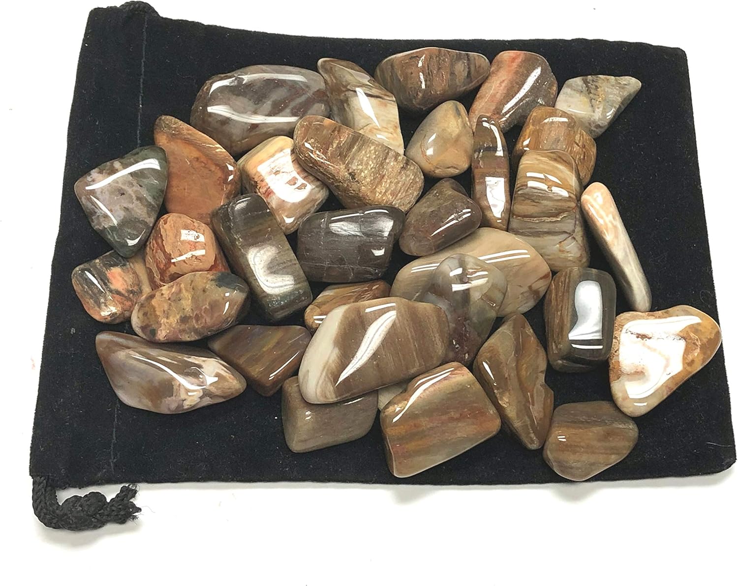 Tumbled Petrified Wood - 1 Inch Stones in Velvet Bag 1 Pound