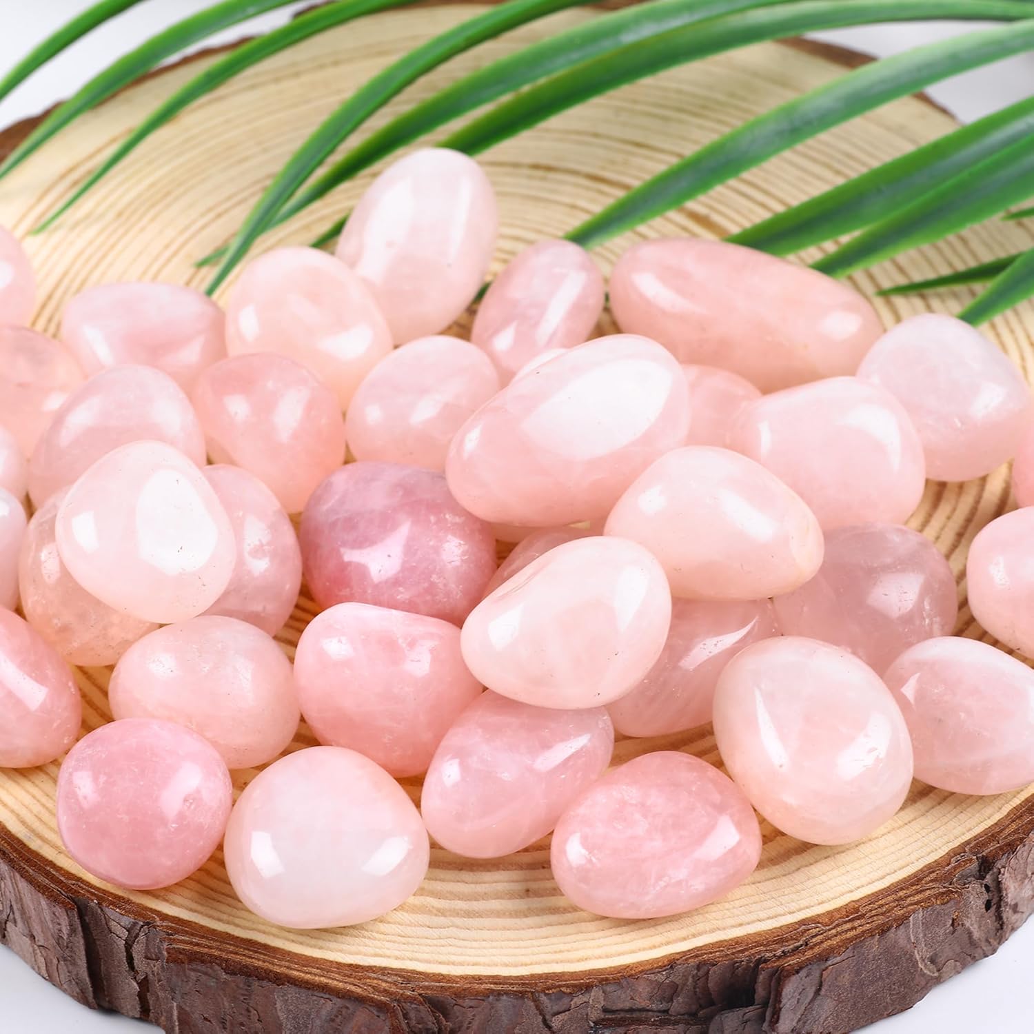 FORBY 3lb Natural Rose Quartz Tumbled Stones Crystal Set