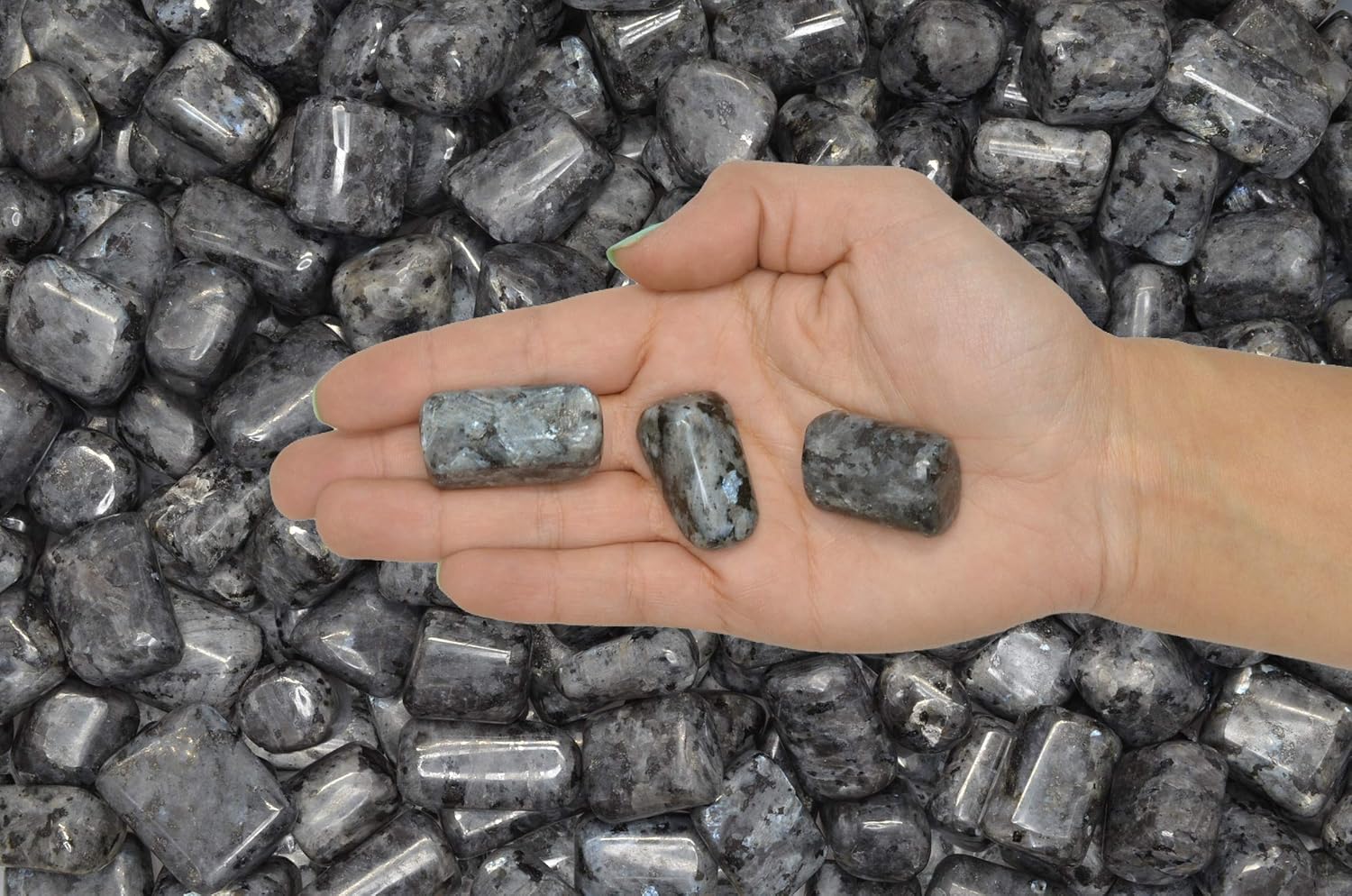 Fantasia 1 lb Hand Polished Larvikite Stones