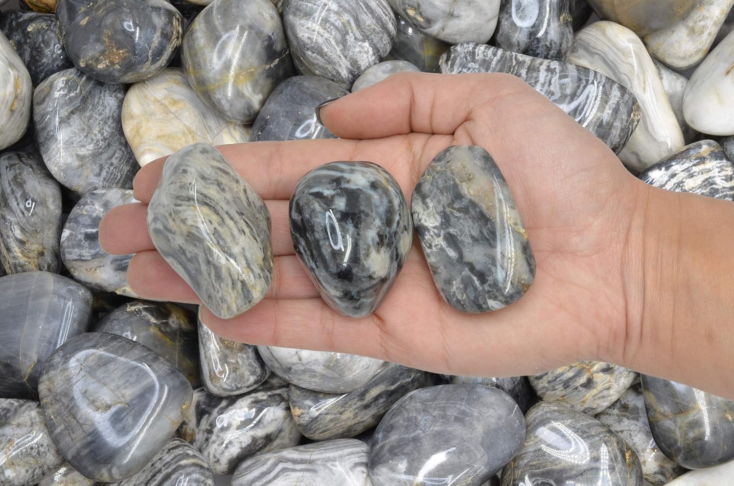 Fantasia Black Cream Chert Stones 3 Lbs Tumbled Size 9