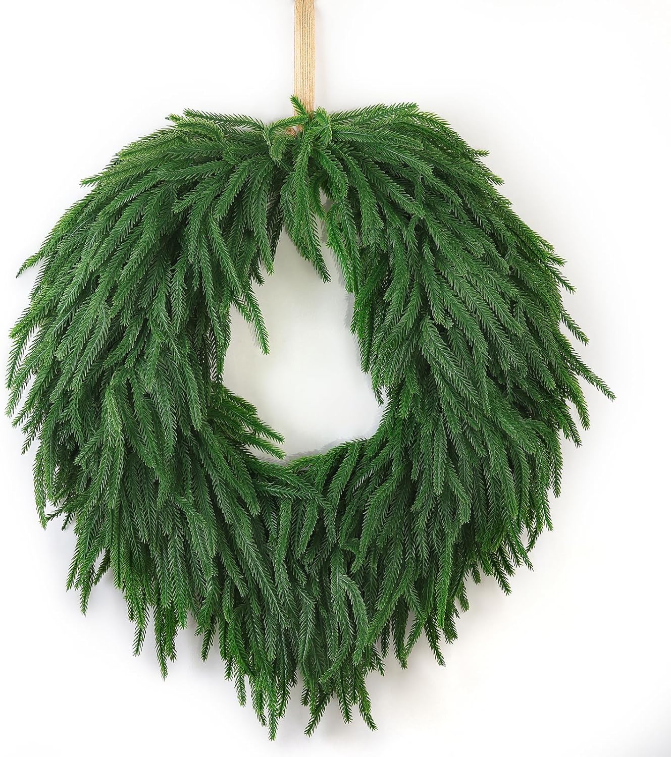24 Inch Norfolk Pine Wreath for Front Door