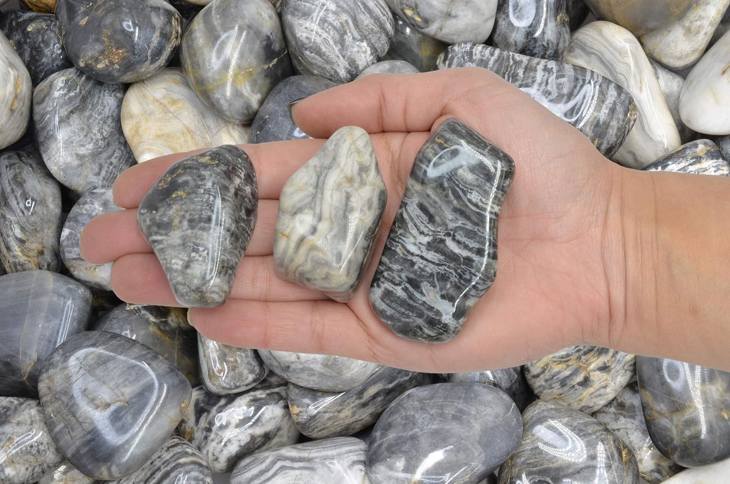 Fantasia Black Cream Chert Stones 3 Lbs Tumbled Size 9