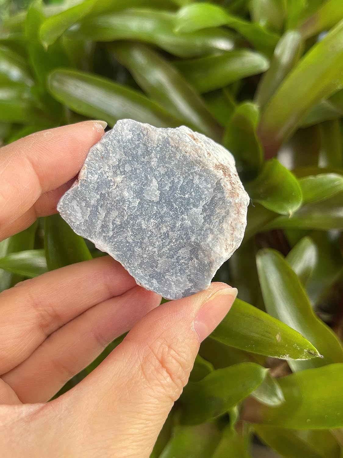 1 Pound Raw Angelite Stones - Natural Rough Angelite for Decor and Energy Work